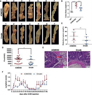 Frontiers Emodin Inhibits Inflammation Carcinogenesis And Cancer